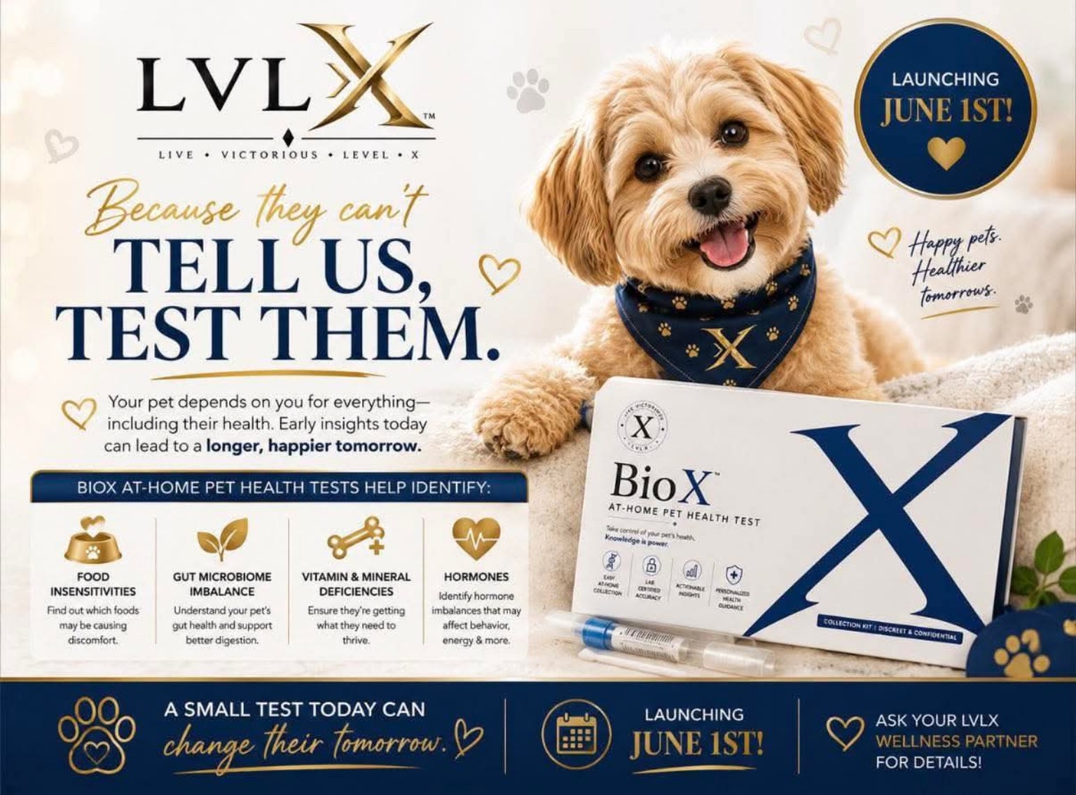 BioX Pet at-home wellness test